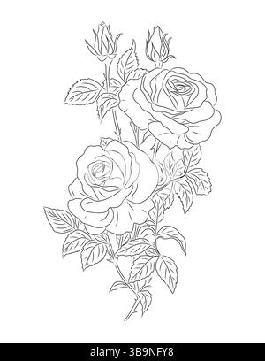 Elegant vector art illustration of blooming roses Stock Vector