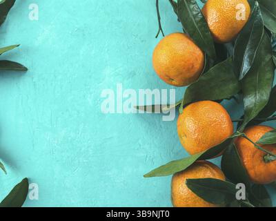 Tangerines, oranges, mandarins, clementines, citrus fruits with leaves on blue concrete background. Top view or flat-lay. Copy space Stock Photo