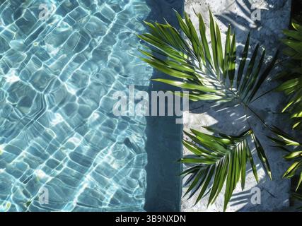 Tropical palm plant that is casting shadow over blue water. palm leaf on top of pool surface, blue water. Evergreen palm tree leaves near swimming poo Stock Photo