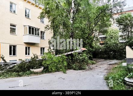 Residential courtyard after May 2020 thunderstorm in Yekaterinburg, Russia. Fallen trees block access to the building entrance. Strong winds uprooted Stock Photo