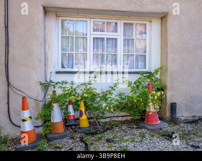 May 2025 - Yatton, North Somerset, England, UK Stock Photo - Alamy