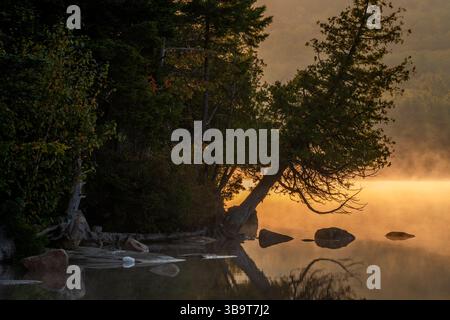 Eagle Lake at sunrise.  Acadia National Park, Maine, USA.  October 2023. Stock Photo