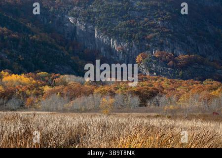 The Preicpice. October in Acadia National Park, Maine, USA. Stock Photo