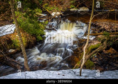 Photo of a curving mountain river flowing through dense forest with small rapids and natural scenery in a peaceful wild landscape. Stock Photo