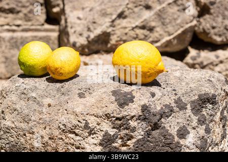 Three ripe citrus fruits rest on a sunlit weathered stone in Zakynthos, Greece, against a rustic stone wall. Stock Photo