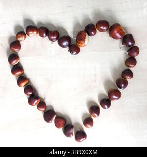 Chestnuts in the form of a heart on white background under natural light and shadow. Autumn and winter concept for love, romance and togetherness. Stock Photo