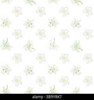 White flowers with delicate petals and yellow stamens, seamless pattern. Digital watercolor illustration. Japanese sakura and cherry blossom twigs and Stock Photo