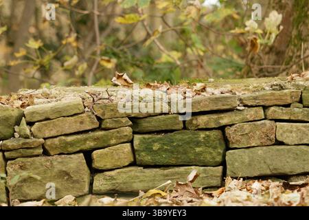 Close up of traditional low dry stone wall in British woodland Stock Photo
