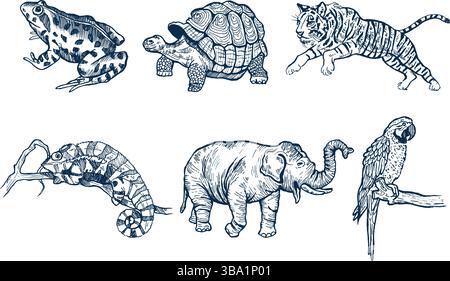Tropical Animal Icons Set – Exotic Wildlife, Jungle Creatures Collection Stock Vector