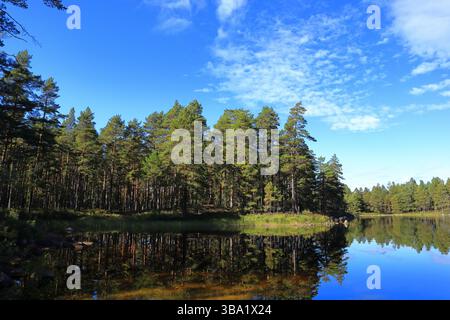 Beautiful view over a Swedish lake. Blue sky and green nature. Tiveden National Park, Sweden, Europe. Stock Photo