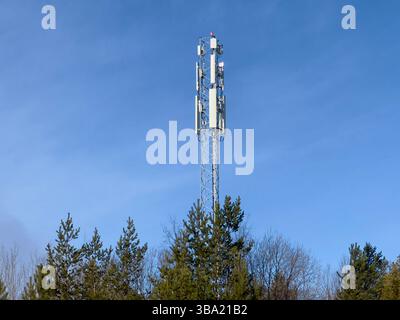 A cell tower rises above trees, offering a strong signal against a bright blue sky. Stock Photo
