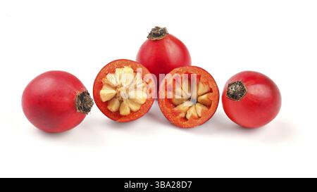 Rosehips (Rosa Canina fruits), one cut in half isolated on white background, Liptovsky Hradok, Slovakia, Europe Stock Photo