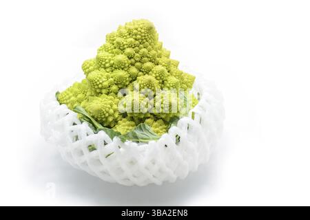 Roman cauliflower isolated on white background, it is an edible flower bud of the species Brassica oleracea. First documented in Italy, it is chartreu Stock Photo