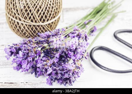 Fresh lavender on the white shabby wooden table with rope and scissors Stock Photo