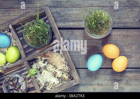 Happy easter holiday concept. Colorful chicken eggs quail eggs germinated wheat in glass jar branch of trees with buds Stock Photo