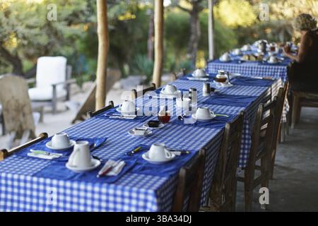 Table with empty plates and coffee cups, blue chequered tablecloth, blurred person in background having morning breakfast, green foliage in back, trop Stock Photo