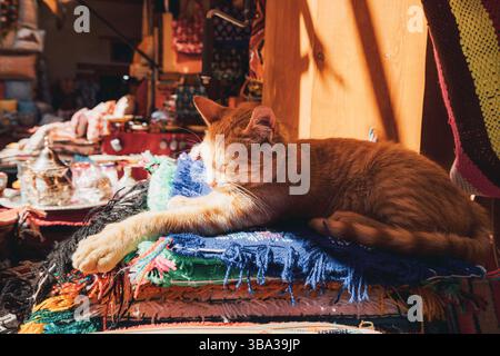 Ginger cat peacefully naps on a pile of vibrant Moroccan carpets in a sunlit market stall, creating a tranquil scene of cultural charm Stock Photo