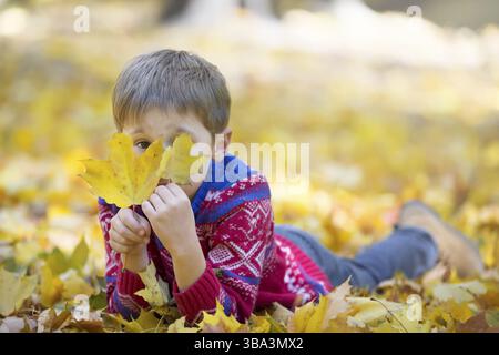 Sad charming child with autumn maple leaves. The boy lies on the yellow leaves Stock Photo