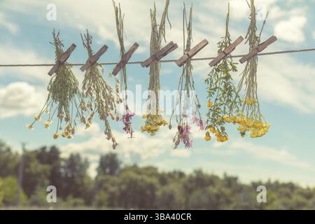Different types of herbs dried in the shade on a rope against the blue sky. Shallow depth of field. Coloring and processing photo with soft focus in i Stock Photo