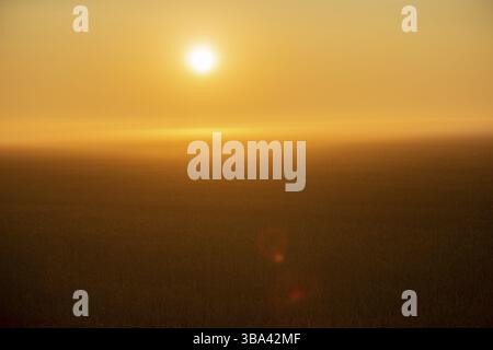 Blurred background field at sunset with the sun Stock Photo