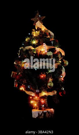 Little Christmas tree from pine branches on a black background Stock Photo