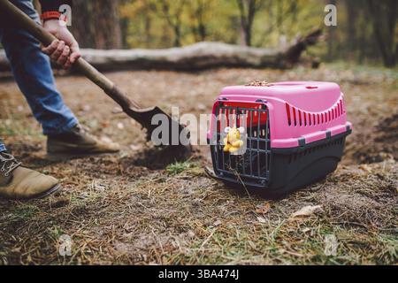 The topic of burial of pets is not legal. Man digs hole with shovel for burying an animal in the forest. The owner makes the grave with a shovel, digs Stock Photo