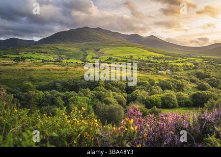 Beautiful sunset with dramatic sky at golden hour over the foothill of Carrauntoohil mountain, MacGillycuddys Reeks mountains, Ring of Kerry, Ireland Stock Photo