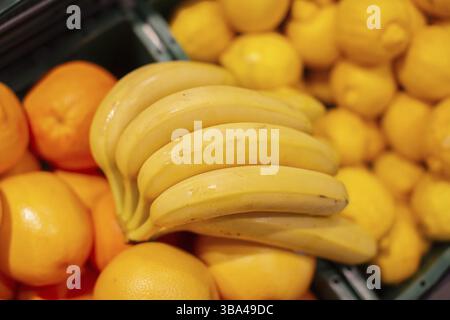 Banana branches and oranges are shot from above Stock Photo