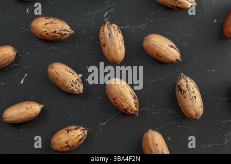 Overhead photo - spotted whole pecan nuts (Carya illinoinensis) on black marble like working board, Liptovsky Hradok, Slovakia, Europe Stock Photo