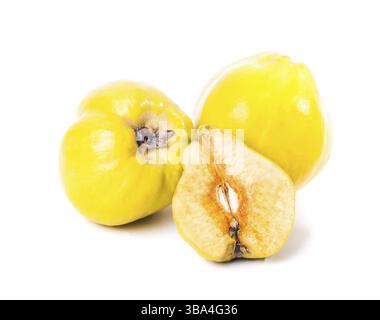 Big natural apple quince isolated on white background Stock Photo