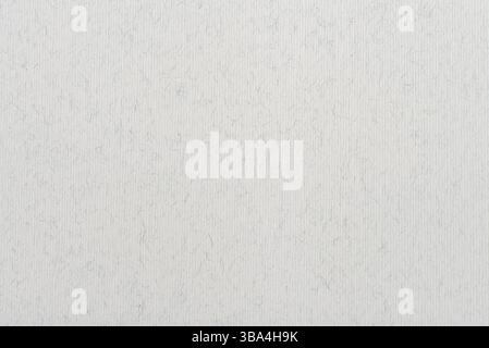 Texture of drawing pastel paper (white paper) as background Stock Photo