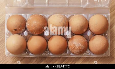 Mildew growing on mouldy eggs stored improperly in wet and cold fridge for long time. Ten pack in plastic packaging, view from above, Liptovsky Mikula Stock Photo