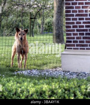HDR picture of a Dutch rural landscape on a sunny day in may Stock Photo