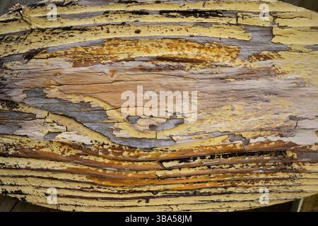 Close-up of a weathered, worn piece of wood with shades of peeling yellow, white and black paint on gray wood texture aged by exposure to elements. Stock Photo
