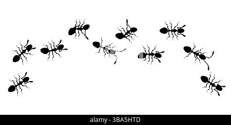 Black Ants Marching in a Line on White Background Stock Vector