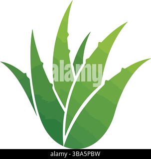 Aloe Vera Plant Illustration with Detailed Green Leaves Stock Vector