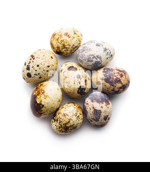 Spotted quail eggs isolated on a white background. Stock Photo