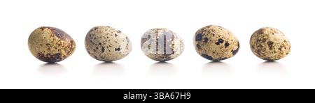 Spotted quail eggs isolated on a white background. Stock Photo