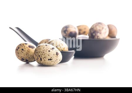 Spotted quail eggs isolated on a white background. Stock Photo
