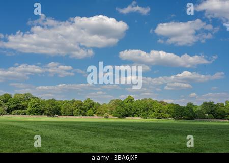 Summers day blue skies and white fluffy clouds. Stock Photo