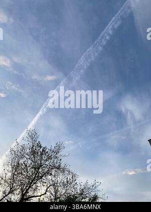 Cremona, Italy - April 5th 2025 A Sky Painted with Vapor Trails Above the Trees A Canvas of Whispers High Above the Earth Where Clouds Dance with Sunl Stock Photo