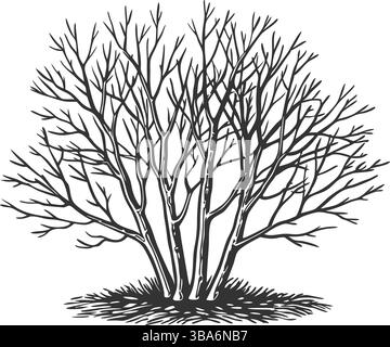 Elegant floral vector silhouettes with intricate ornamental designs, perfect for branding, textiles, tattoos, and decorative prints in bold black and Stock Vector