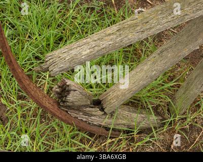 Old wooden wagon wheel with severe damage embedded in dirt and surrounded by green grass. Stock Photo
