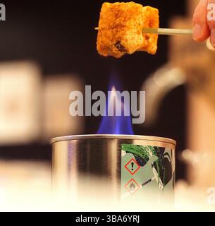 Toasting Marshmallows Stock Photo