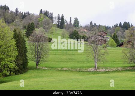 Mountainside chalets in the mountains below Villars-sur-Ollon in Switzerland, May 2025 Stock Photo