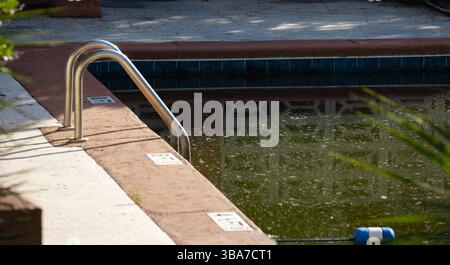 A swimming pool in a residential backyard in the morning light with dirty green water and algae buildup along the edge, that is need of maintenance. Stock Photo