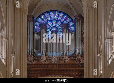 France, Paris, Cathedral de Notre Dame, Stained glass in the West Rose window with the cathedral's organ in the restored cathedral after the fire of 2019, the west rose window is found on the front of Notre-Dame Cathedral, originally completed around 1225, it is the smallest and oldest of the cathedral’s three rose windows, although none of the original glass remains in the frame today. Stock Photo