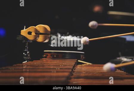 A man playing a marimba on a concert stage in the netherlands Stock Photo