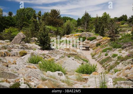 Gravel path through Alpine Garden with mixed shrubs, plants and flowers in late spring, Montreal Botanical Garden, Quebec, Canada. Stock Photo