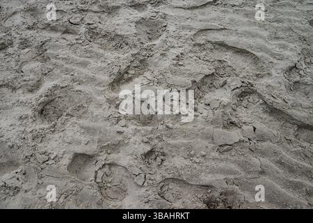 Deep footprints in sand on a beach Stock Photo